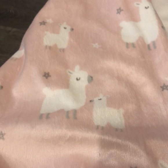 Blankets & Beyond Car seat Blanket - Picture 4 of 4